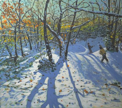 Allestree Park Woods November by Andrew Macara
